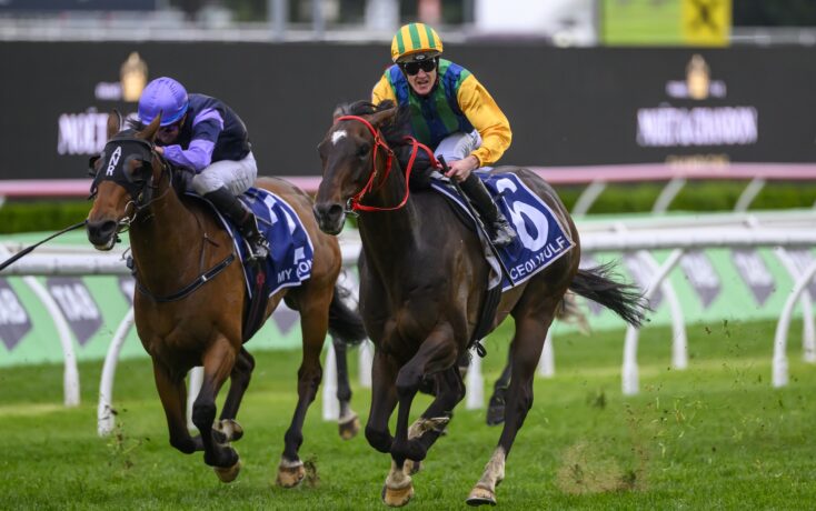 家队出战 家队出战