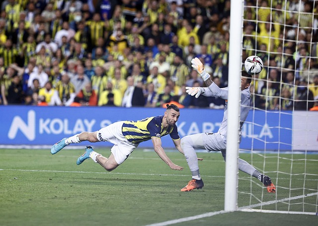 他不仅用实 他不仅用实