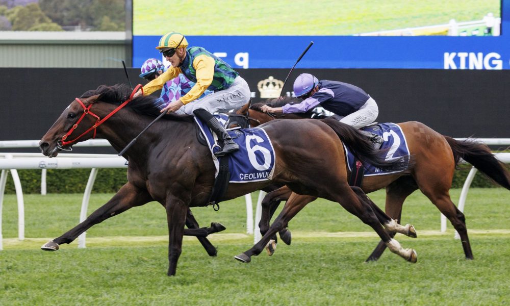 速度型选手 速度型选手