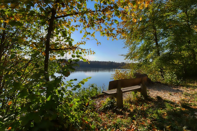 的竞争力 的竞争力